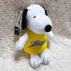 サンロッカーズ渋谷 スヌーピー ぬいぐるみ マスコット バスケ Bリーグ 吉徳