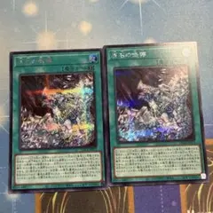 遊戯王 原石の鳴獰 シク シークレット 2枚