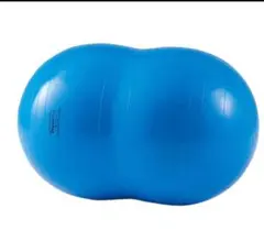 ※お値下げ　フィジオロールボール 70 楽天市場】ギムニク バランスボール フィジオロール プラス70