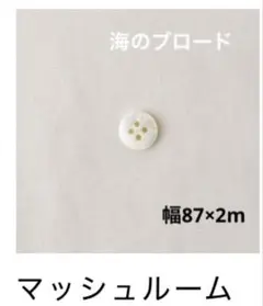 C&E 海のブロード　マッシュルーム　87×2m