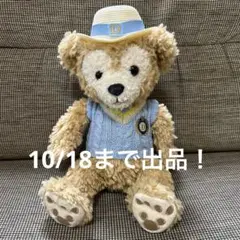 東京ディズニーリゾート　ダッフィー　ぬいぐるみ