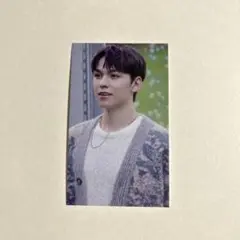 SEVENTEEN 東京 会場限定 ユニバ 消費期限 トレカ バーノン