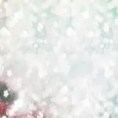 ぶーちゃん様専用