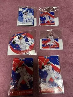 東京ヤクルトスワローズ#1山田選手グッズセット