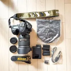 Nikon Z6ⅱ ミラーレス一眼 本体＋おまけシャッター回数4610回 Nikon Z6ⅱ ミラーレス一眼 本体＋おまけシャッター回数4610回 - メルカリ