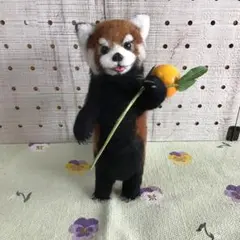 レッサーパンダ（収穫中〜❣️）