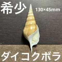 fossil様 リクエスト 2点 まとめ商品