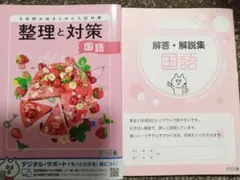 整理と対策 国語のサムネイル