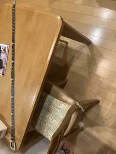 ストーン付き黒ベルト シルバーバックル