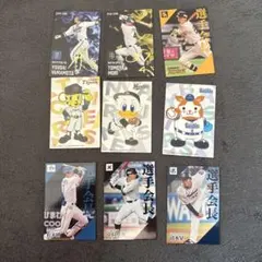 メ*ン様 プロ野球チップス サインカード 野球カード まとめ売り 約60枚