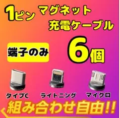【超激安】便利 選べる端子 マグネット充電ケーブル端子 6個 アダプター