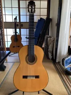 大幅値下げしました】Aria MM-85 マカフェリギター - メルカリ