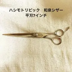 Item thumbnail for item 6b8230b9-43cc-4cd2-becc-3a654edeaf15