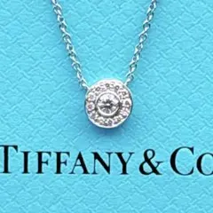 2025年最新】ティファニー ネックレス 一粒ダイヤの人気アイテム