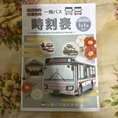 Ichibata Buses Schedule Book 2025