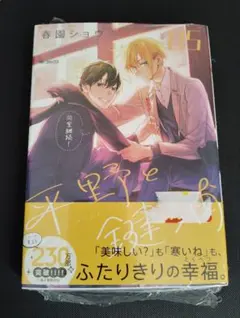 ☆新品☆ 平野と鍵浦 5巻