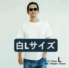 ファミリーマート　トリップスター ポケットTシャツ　野村訓市 tripstar