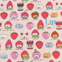 Item thumbnail for item edd55411-854d-49ef-9680-f93b753d1a7c