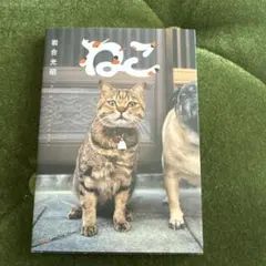 ねこ 岩合光昭 写真集