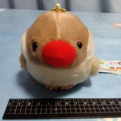 みんなのことり隊　シナモンブンチョウ