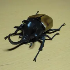 いきもの大図鑑