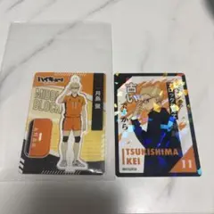 ハイキュー 月島 蛍 ミニアクリルスタンド カード