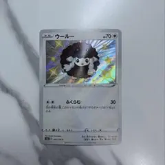 ウールー　色違い　S シャイニースター　1枚①