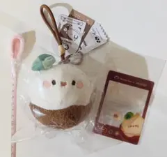 アイ@プロフ確認推奨　恋と深空 × MINISOマヒル ごくごくココナッツ アイ@プロフ確認推奨様専用 恋と深空 × MINISOマヒル ごくごく