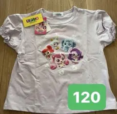 半袖Tシャツ 120 シークレット キャッチ！ティニピン　ファイバードライのサムネイル