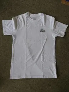 PATAGONIA　patagonia　パタゴニア　Tシャツ