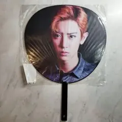 EXO チャンヨル 2016年ライブうちわCHANYEOL チャニョル 公式