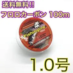 (L53)　フロロカーボン 1.0号 100m巻き 道糸　リーダー
