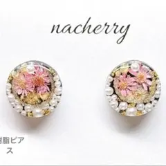 Item thumbnail for item 05e8132a-e708-403e-8f15-73f308ef235d