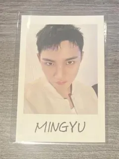 インスタントフォト FOLLOW AGAIN ミンギュ