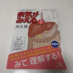 2026年最新】病気がみえる vol.1の人気アイテム - メルカリ
