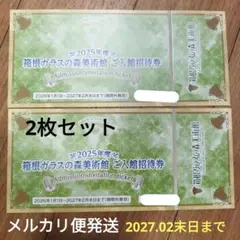 箱根ガラスの森美術館 ご入館招待券 2枚セットのサムネイル