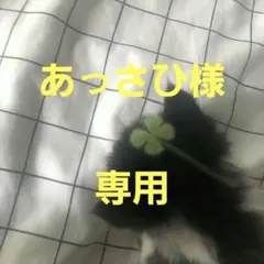 あっさひ様 専用