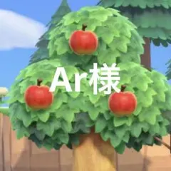 Ar様