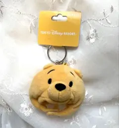 ディズニーリゾート くまのプーさん 被り物 ミニファンキャップ キーチェーン②