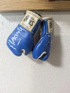 2025年最新】アレクシス・アルゲリョの人気アイテム - メルカリ