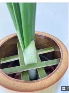 2025年最新】池坊 花器 竹の人気アイテム - メルカリ