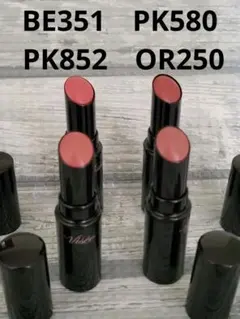 ヴィセ　ネンマクフェイクルージュ BE351 PK580 PK852 OR250