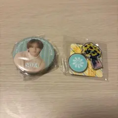 FANTASTICS 中島颯太 ミニアクリルスタンド 缶バッジ フォトカード