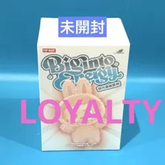 【POPMART購入品】　ラブブ　エナジー　LOYALTY ① 未開封