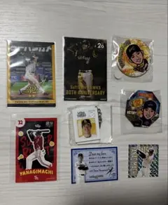 Item thumbnail for item 4b68a821-50e4-45dc-88eb-06386a4a85d8