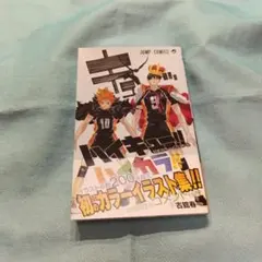 ハイキュー!! 公式カラーイラスト集 ハイカラ!!