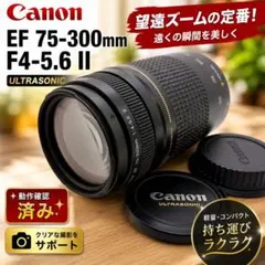 Canon EF 75-300mm F4-5.6 II USM 望遠のサムネイル