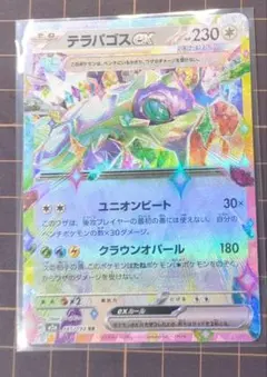 テラパゴスEX RR