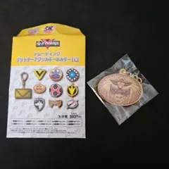 【匿名配送】トレーディンググリッターアクリルキーホルダー 全スーパー戦隊展限定