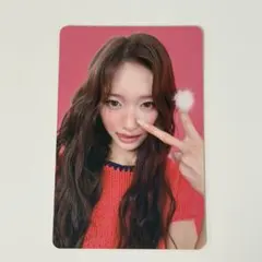 IVE Looks Can Kill 토레카 이소 타와레코